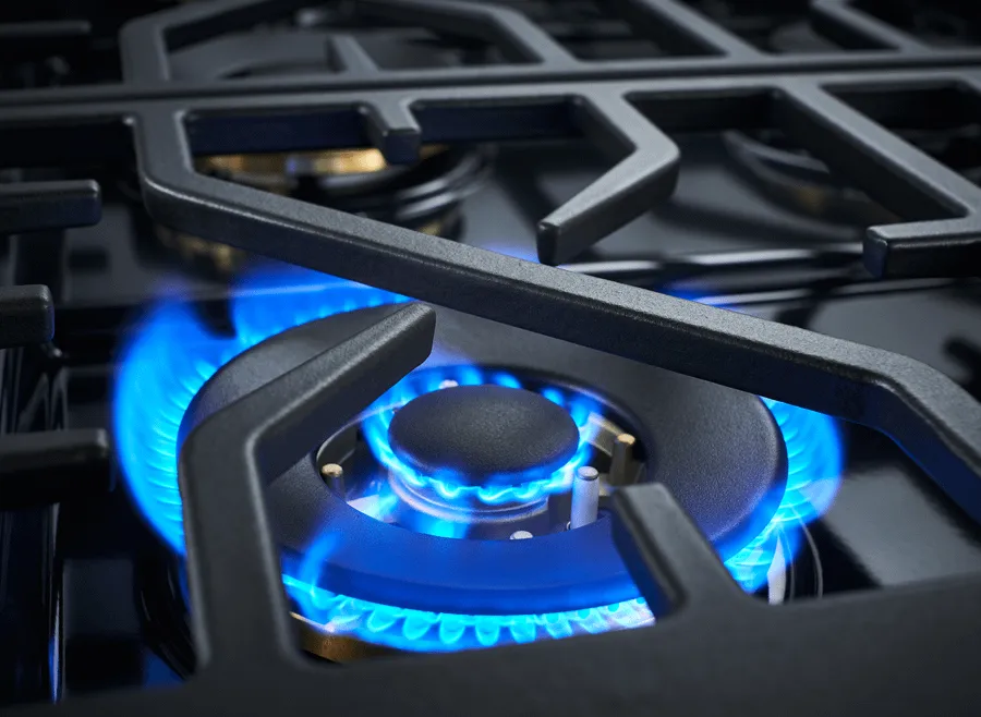 Forzacucina FR304DF 30 Professional Dual Fuel Range