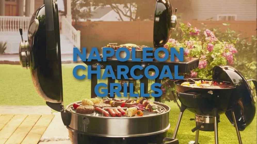 Napoleon Bbq PRO22KLEG3 Professional 22 Charcoal Kettle 22-Inch Kettle Grill . Charcoal. Black