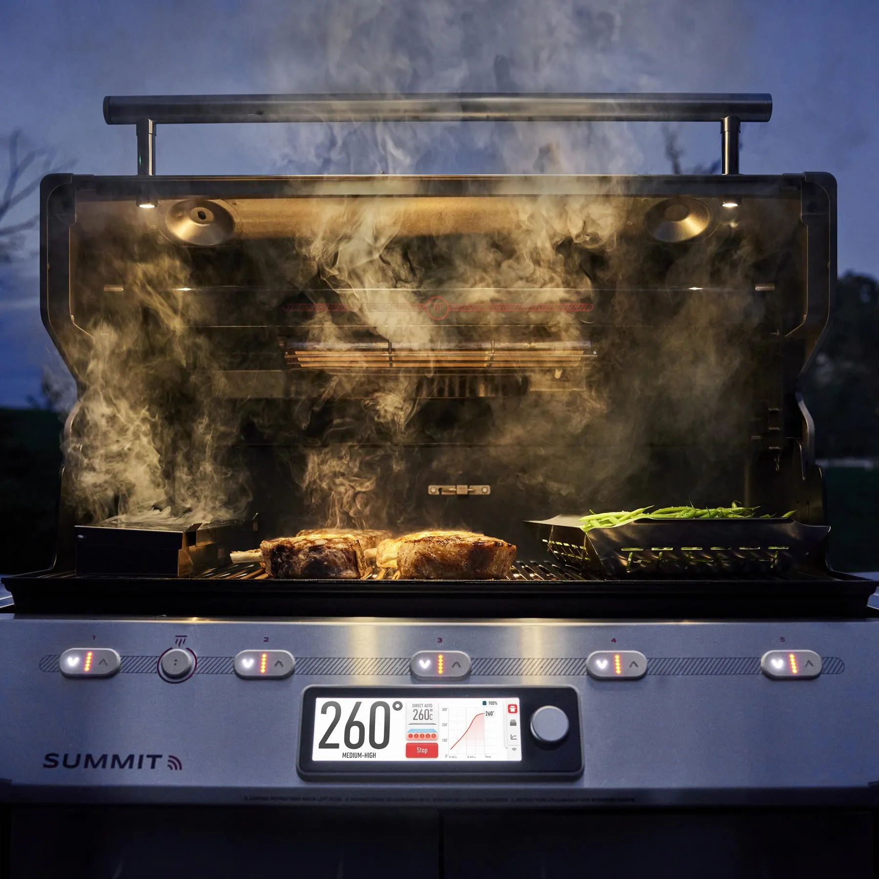 Weber 1500052 Summit Smart Fs38X S Gas Grill (Liquid Propane) - Stainless Steel