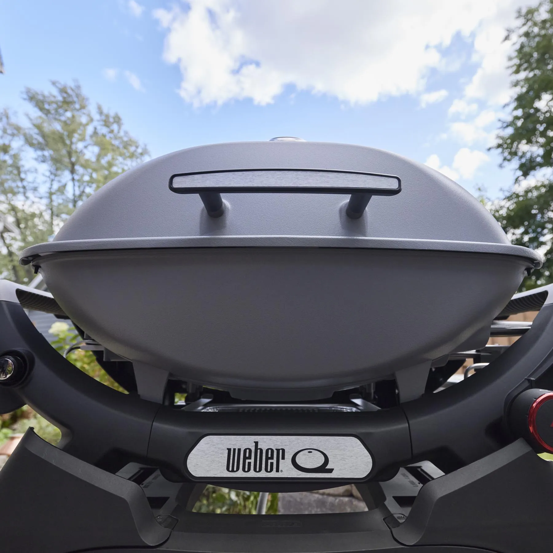 Weber 1500376 Q 2800N  Gas Grill (Liquid Propane) - Smoke Grey